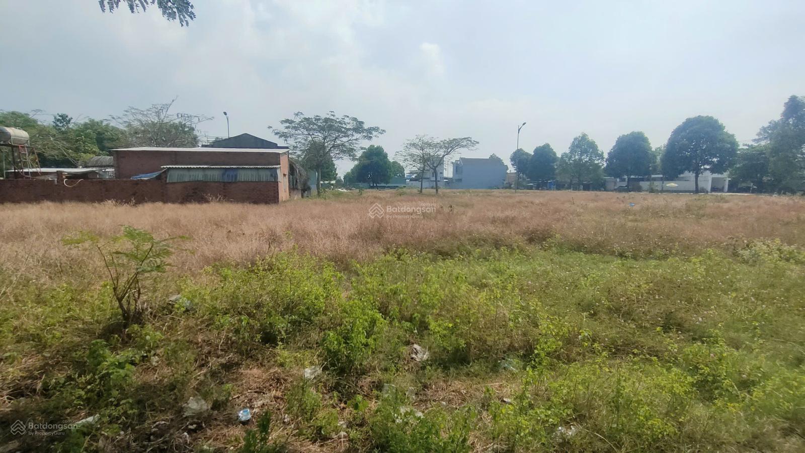 LÔ BIỆT THỰ KHU TÁI ĐỊNH CƯ TAM AN-DT: 300M, GIÁ: 5,5 TỶ-AN PHƯỚC, LONG THÀNH, ĐỒNG NAI