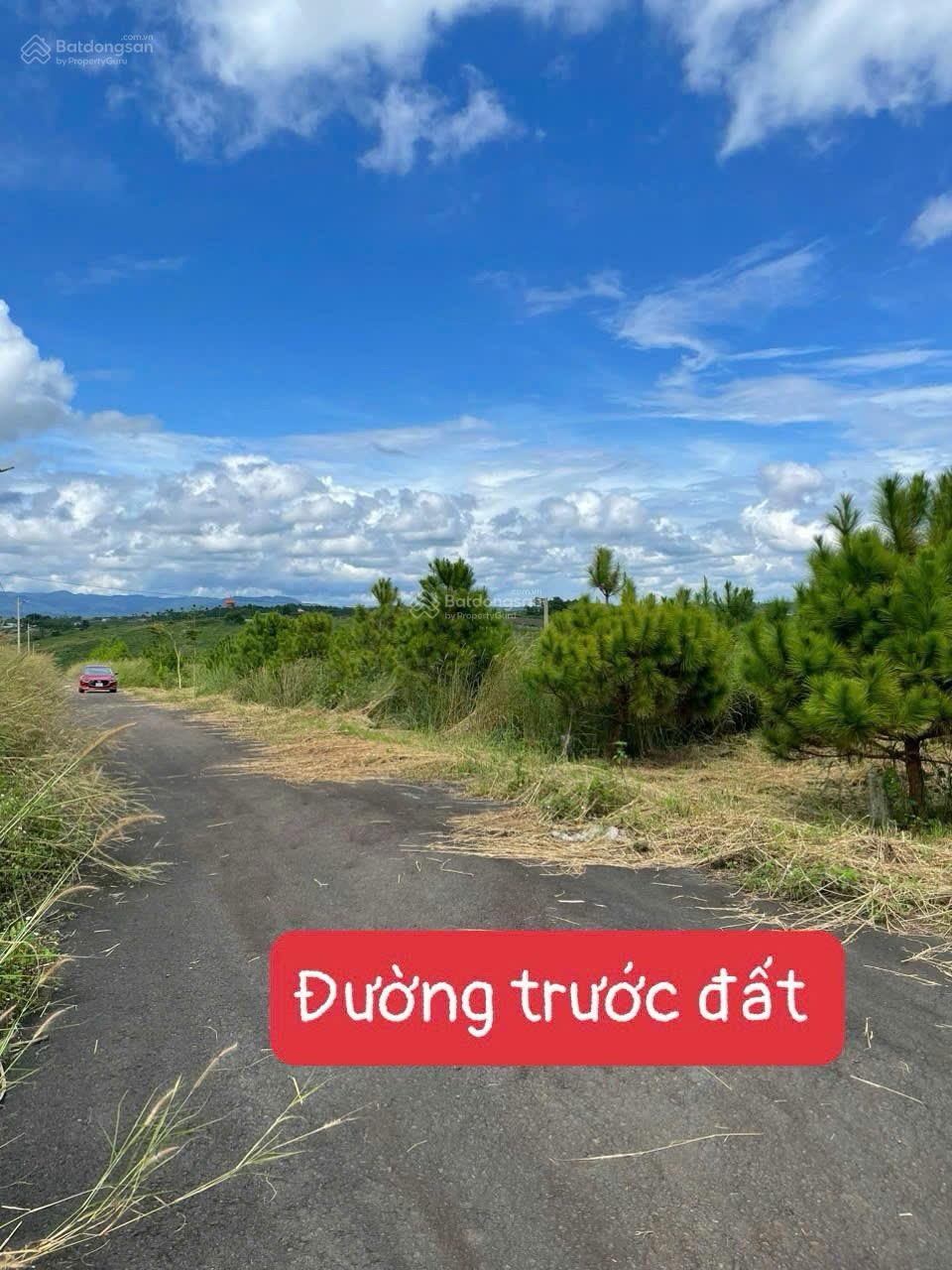 Bán đất thổ cư Lộc Tân phường 2 Bảo Lộc