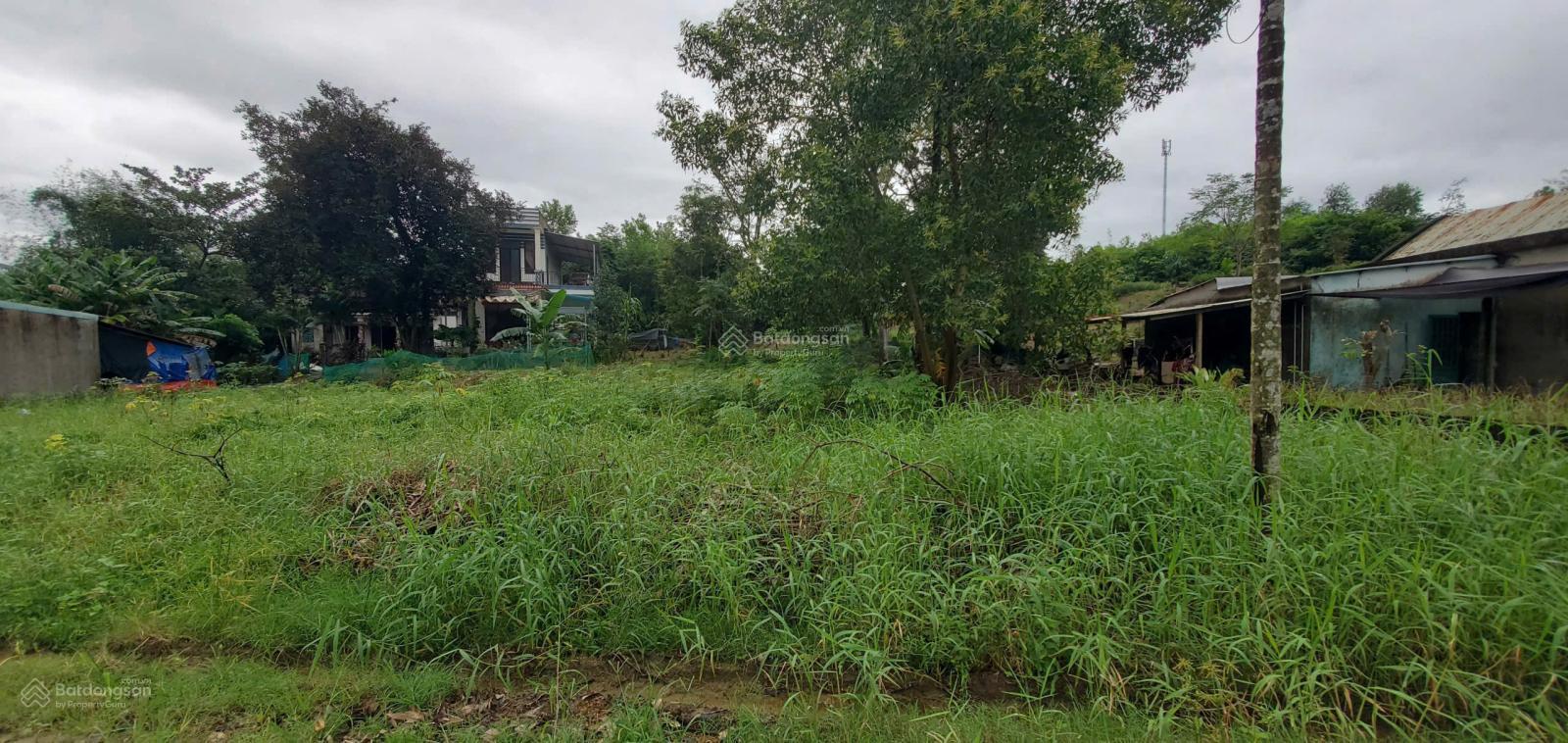 Hot! Bán đất Hòa Liên, Đà Nẵng diện tích 150m² - Ngang 7m sổ vuông đẹp cơ hội đầu tư Hot! Bán đất Hòa Liên, Đà Nẵng diện tích 150m² - Ngang 7m sổ vuông đẹp cơ hội đầu tư