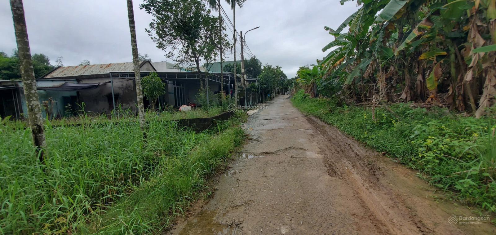 Hot! Bán đất Hòa Liên, Đà Nẵng diện tích 150m² - Ngang 7m sổ vuông đẹp cơ hội đầu tư Hot! Bán đất Hòa Liên, Đà Nẵng diện tích 150m² - Ngang 7m sổ vuông đẹp cơ hội đầu tư