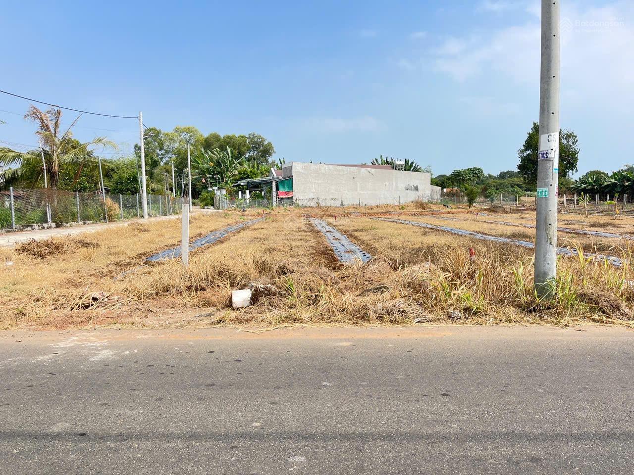 CÒN MỘT LÔ DUY NHẤT MẶT TIỀN ĐƯỜNG LÊ THÁNH TÔNG ĐẤT ĐỎ TPHCM MỘT LÔ ĐẤT VIEW RUỘNG CHO QUÝ ANH