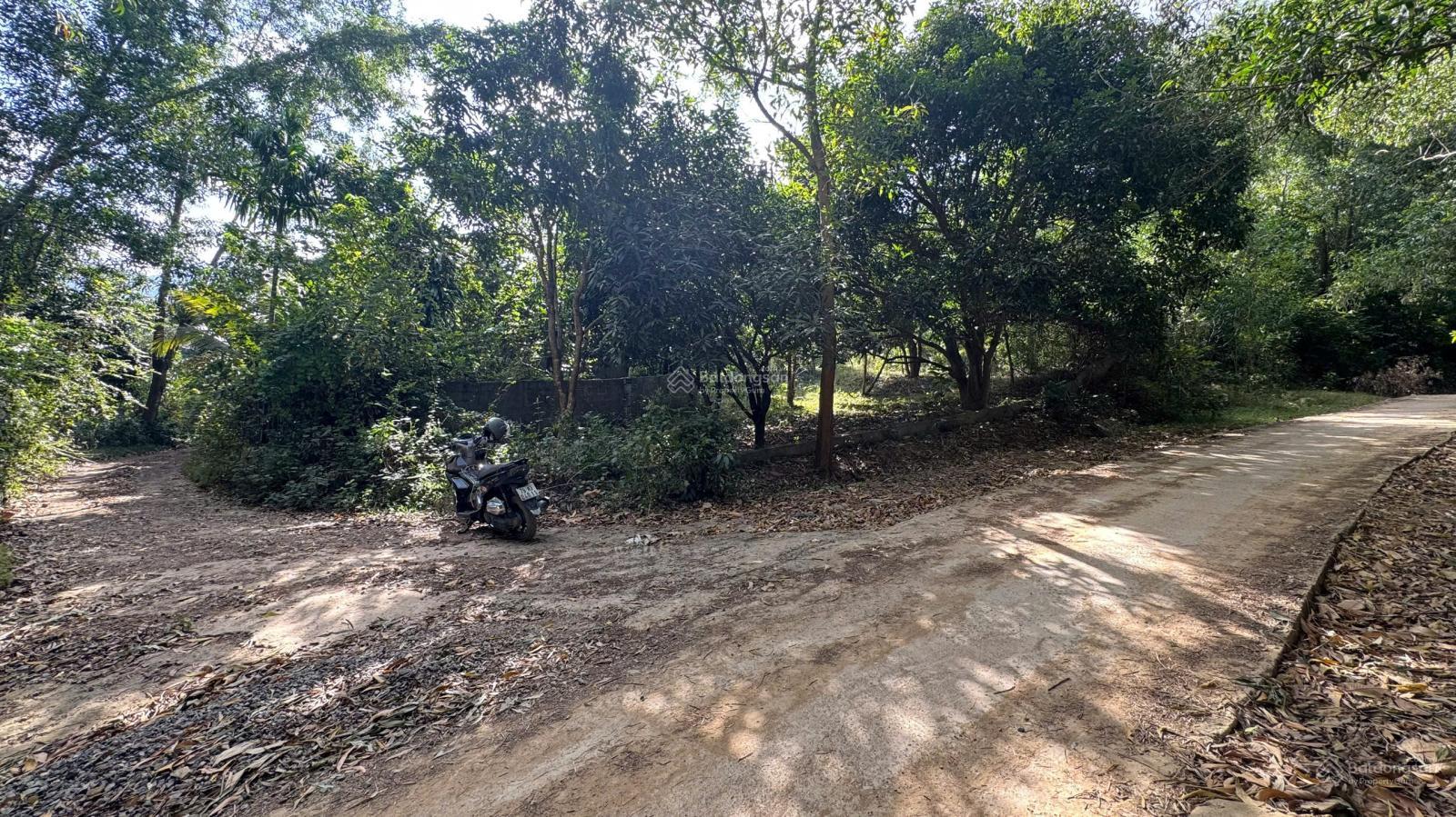 Bán nhà vườn Mít, Xoài mặt đường Vành Đai Hồ Am Chúa - 4645m2 giá 2,1 tỷ