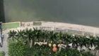 Bán căn 3 ngủ VP6 Linh Đàm, giá cực chất 4,6 tỷ, 77m2, view đẹp