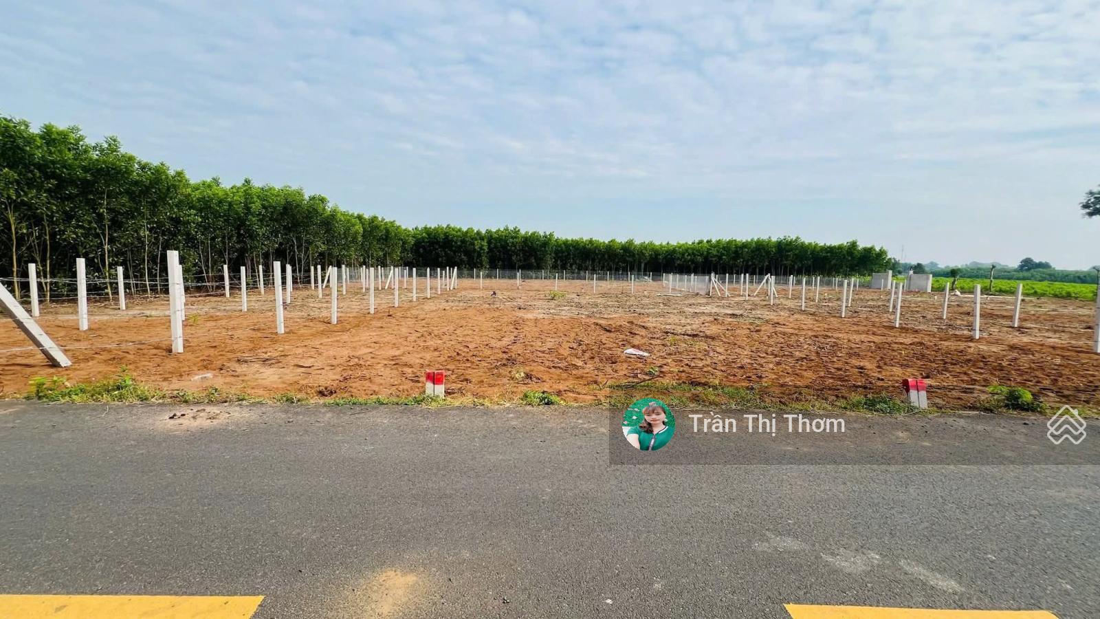 Siêu rẻ - Đất đầu tư đường Nguyễn Huệ, Đất Đỏ, BRVT