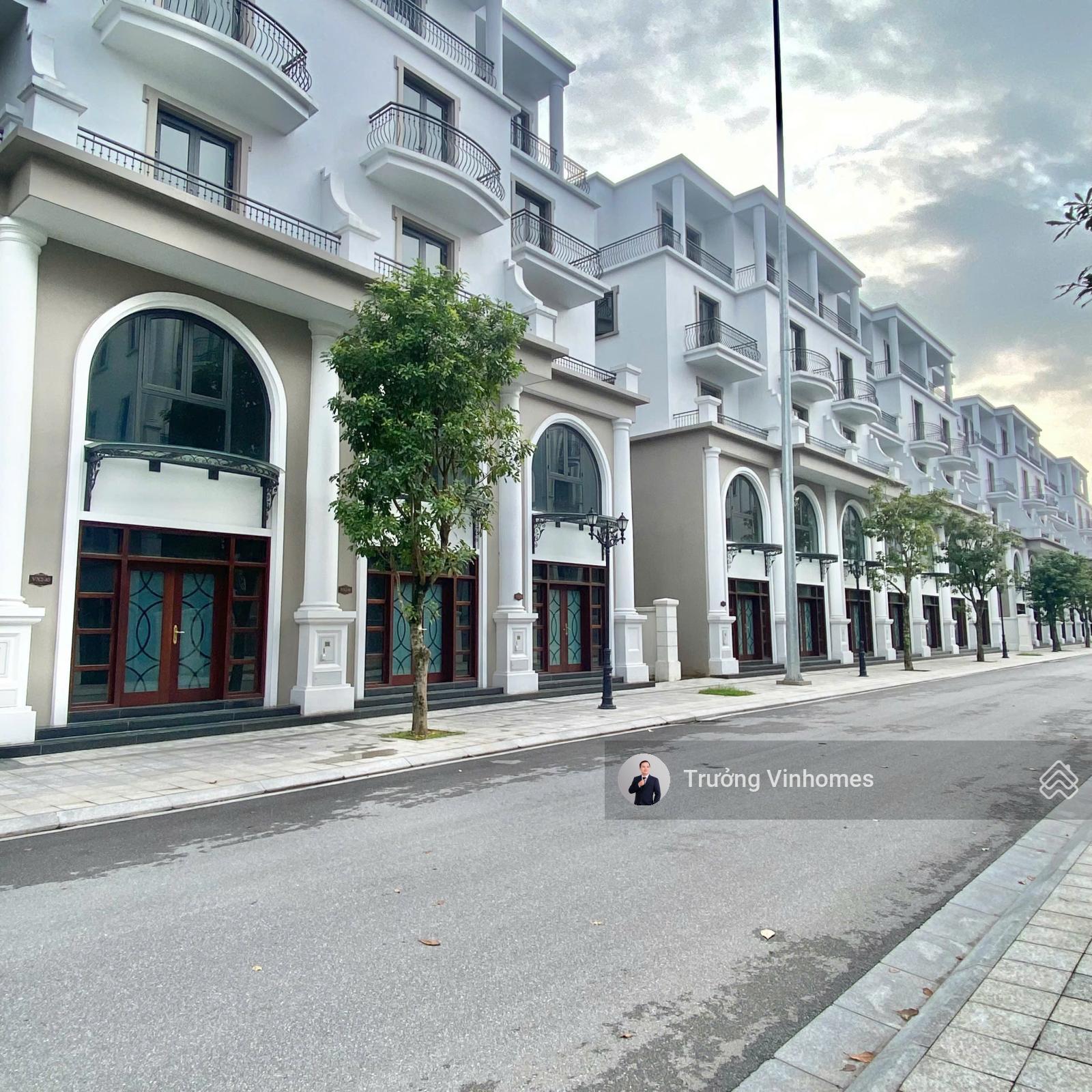 GIÁ SỐC TẠI PHÂN KHU VỊNH XANH PHIÊN BẢN THE HARMONY TẠI OCEAN PARK 3 GIÁ SỐC TẠI PHÂN KHU VỊNH XANH PHIÊN BẢN THE HARMONY TẠI OCEAN PARK 3