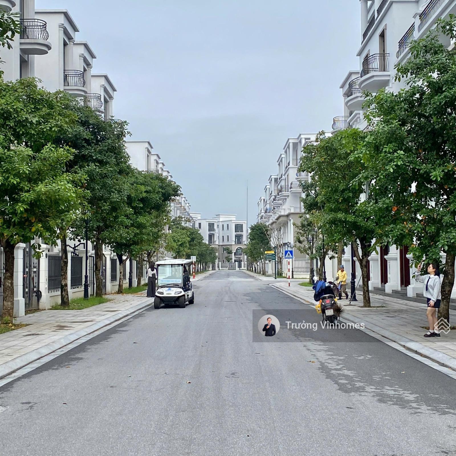 GIÁ SỐC TẠI PHÂN KHU VỊNH XANH PHIÊN BẢN THE HARMONY TẠI OCEAN PARK 3 GIÁ SỐC TẠI PHÂN KHU VỊNH XANH PHIÊN BẢN THE HARMONY TẠI OCEAN PARK 3