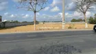 6000m2 đất lúa mặt tiền đường nhựa 826 thị Trấn Cần Đước