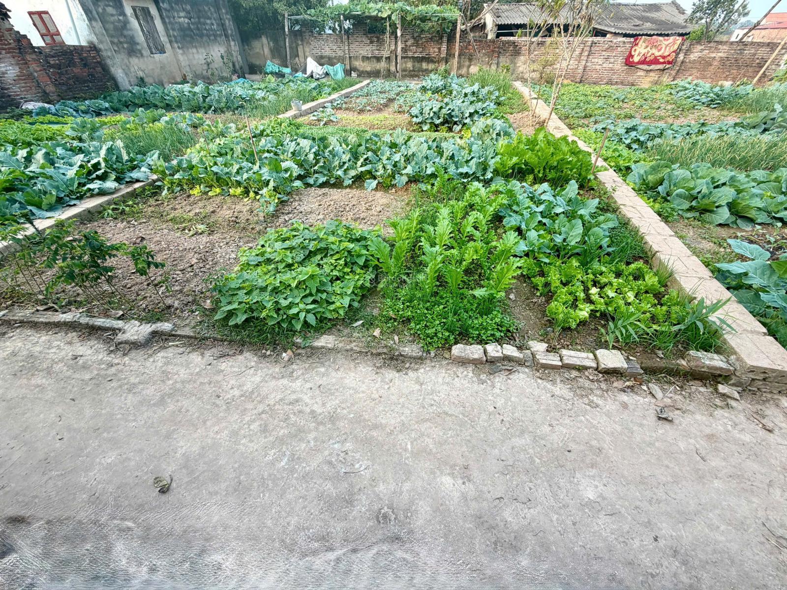 Bán đất vị trí vàng Mỹ Thành - Phúc Sơn, giao thông thuận lợi, giá tốt