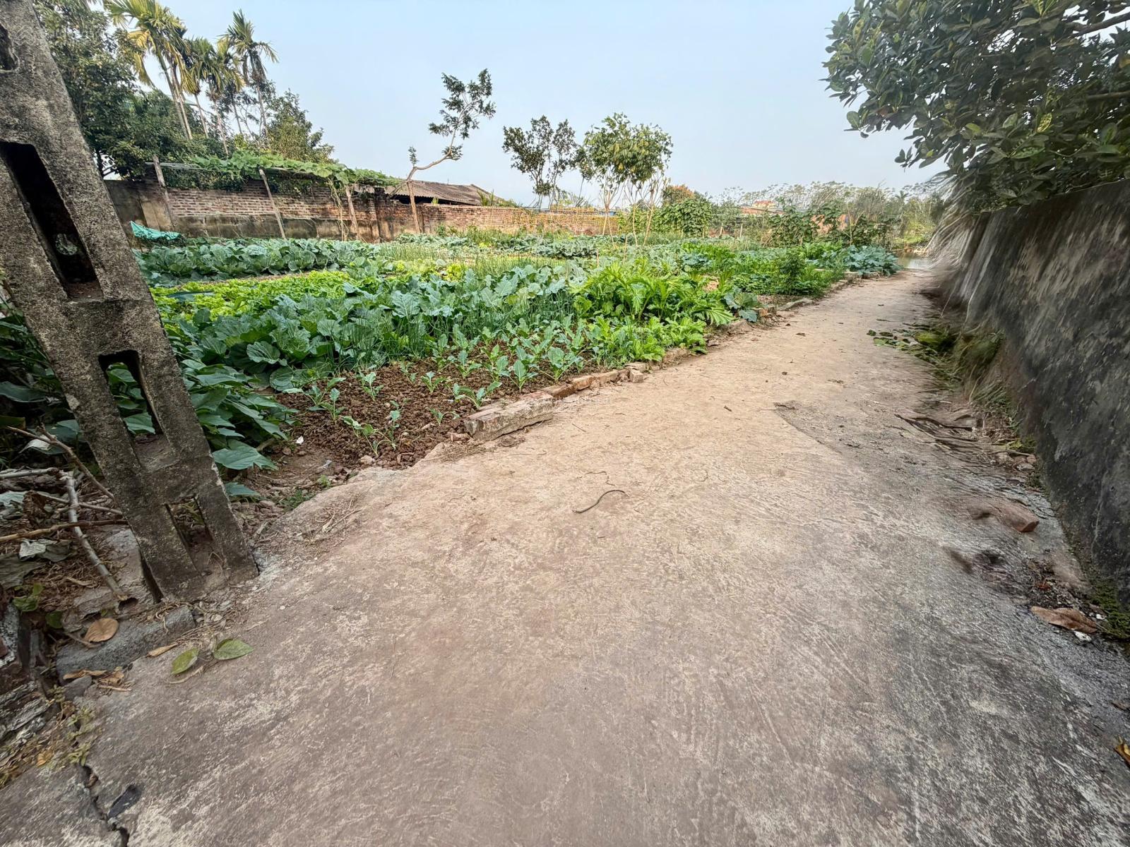 Bán đất vị trí vàng Mỹ Thành - Phúc Sơn, giao thông thuận lợi, giá tốt