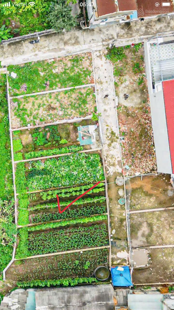 CHÍNH CHỦ GỬI BÁN LÔ ĐẤT SÁT KHU ĐẤU GIÁ ĐANG LÀM
PHÙ YÊN - VIÊN AN - ỨNG HÒA