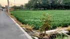 Nhà vườn 500m2 Quận 12 quỹ đất rộng hiếm, tiềm năng sinh lời cao giá chỉ 3,8 tỷ
