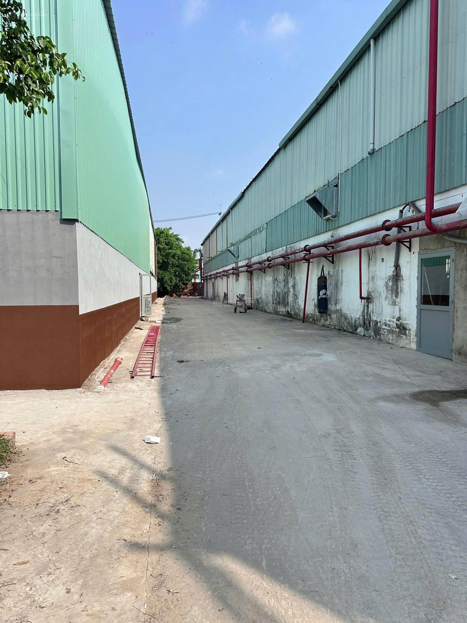 Cho thuê xưởng QL 22 DT 2100m2, PCCC tự độ, đường xe container tại Tân Phú Trung, Củ Chi