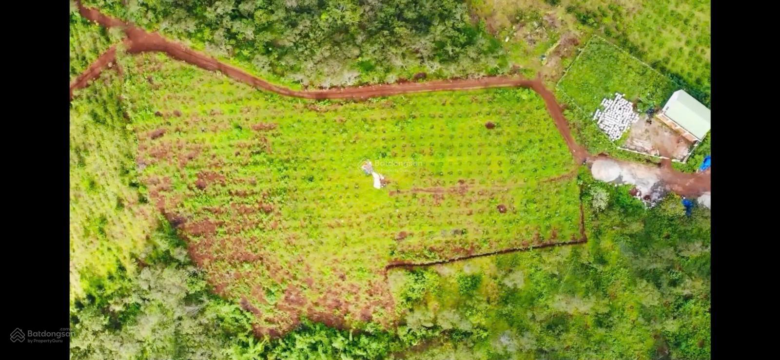 1,1ha đất view đồi 3 mặt thoáng trục Nơ Trang Long, Kiến Thành | giá 3,5 tỷ