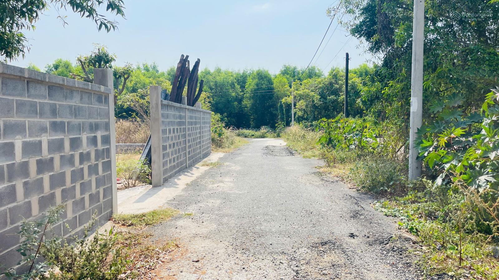 Bán đất Phước Hải Đất Đỏ Bà Rịa Vũng Tàu