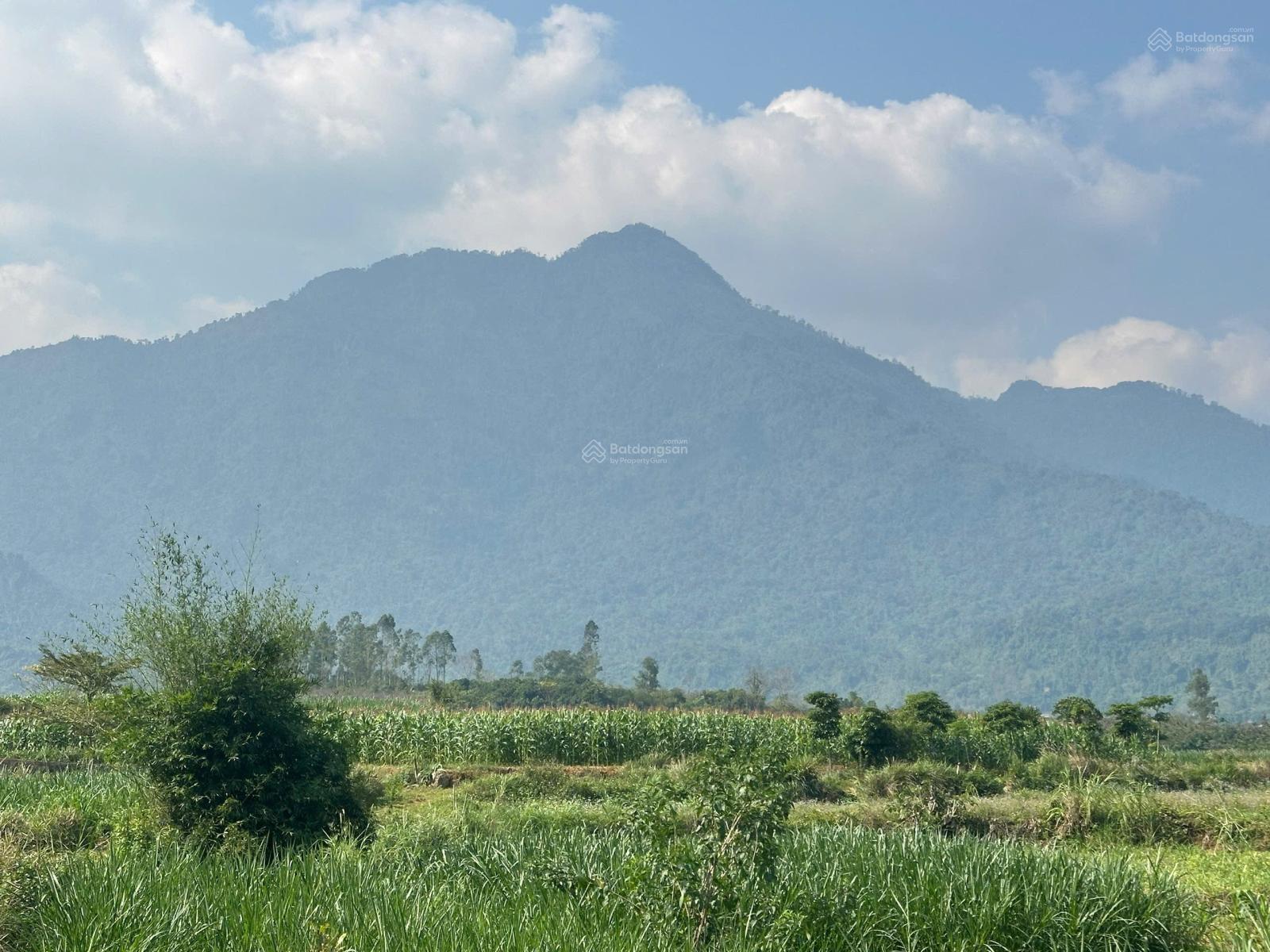 HÀNG F0 ĐẤT NGHỈ DƯỠNG YÊN BÀI 234m2 FULL THỔ CƯ, VIEW ĐẸP, GIÁ NHỈNH 2TY