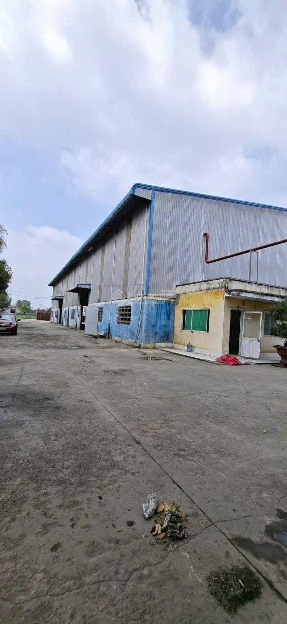 Cho Thuê Kho Bình Tân, DT Kho 1300m2, Giá 120Tr/Tháng ( Đã Có VAT) Cho Thuê Kho Bình Tân, DT Kho 1300m2, Giá 120Tr/Tháng ( Đã Có VAT)