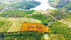 Rẫy trung tâm Gia Nghĩa sát farm EVA bằng tuyệt đối, có hồ, nghỉ dưỡng tuyệt vời