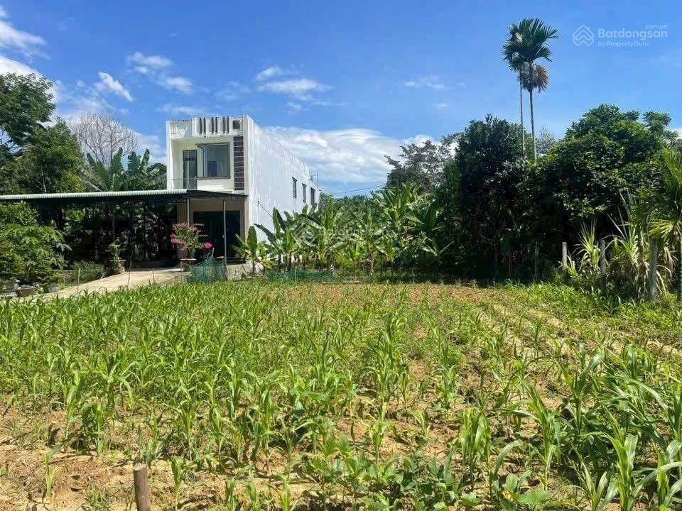 Đất view sông 1000m2 có 700m2 đất ở xã hòa nhơn. Đất view sông 1000m2 có 700m2 đất ở xã hòa nhơn.