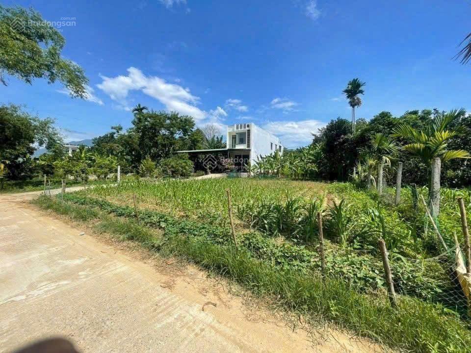 Đất view sông 1000m2 có 700m2 đất ở xã hòa nhơn. Đất view sông 1000m2 có 700m2 đất ở xã hòa nhơn.