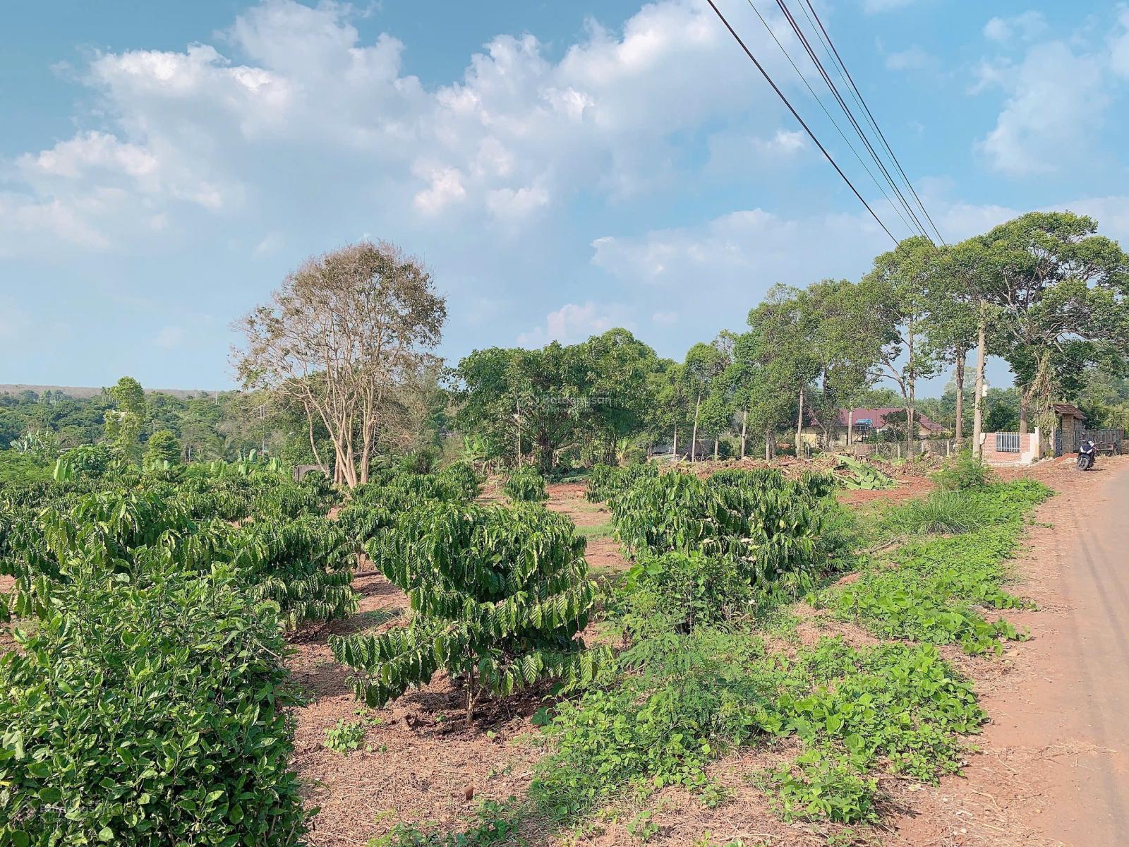 Bán Khoảng 4 sào 5 (4520m2) đất xã Láng Lớn, huyện Châu Đức, BRVT. Giá 4 tỷ 950tr.