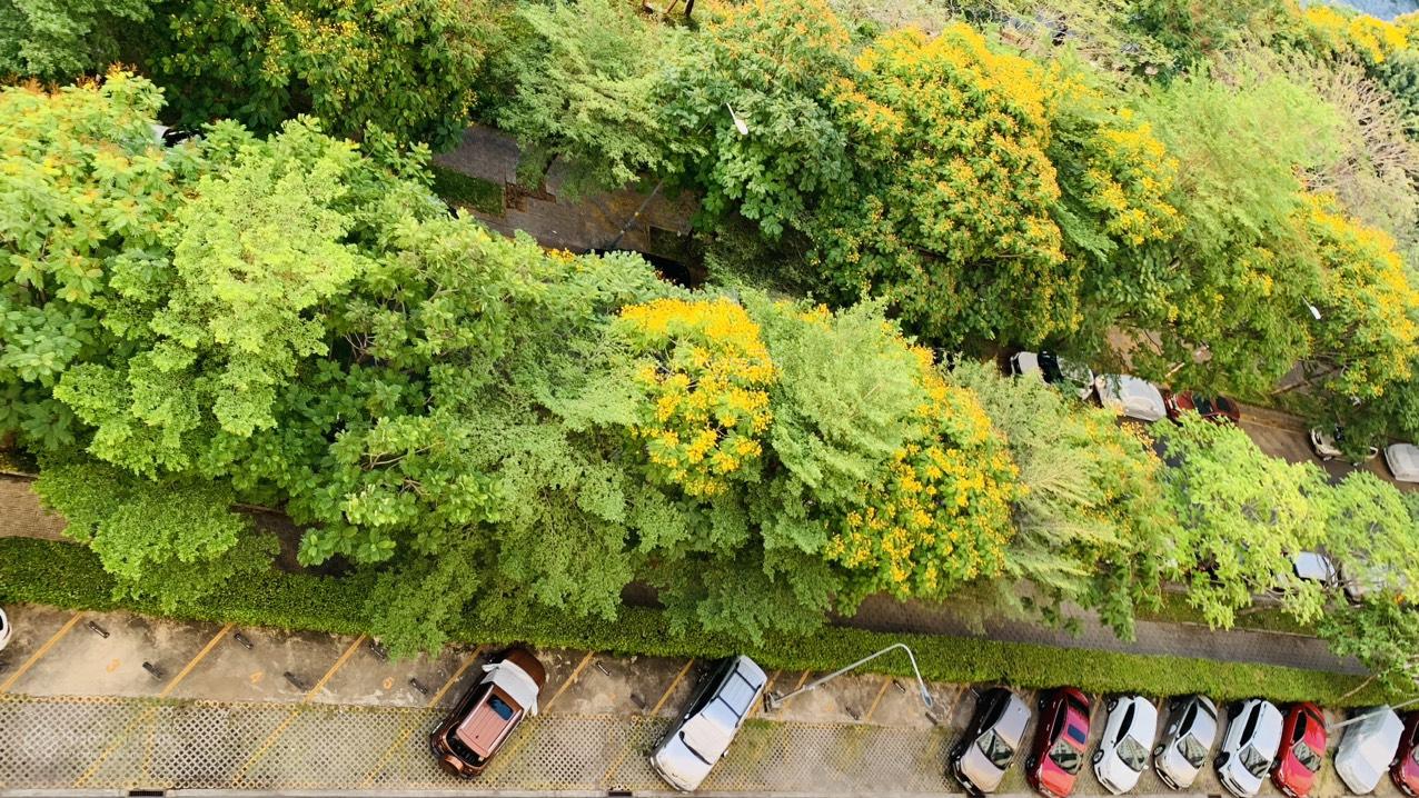 Bán căn hộ 3PN Sunview Town Đất Xanh Thủ Đức có sổ hồng sẵn, công viên ven sông 4,5 héc ta mát rượi