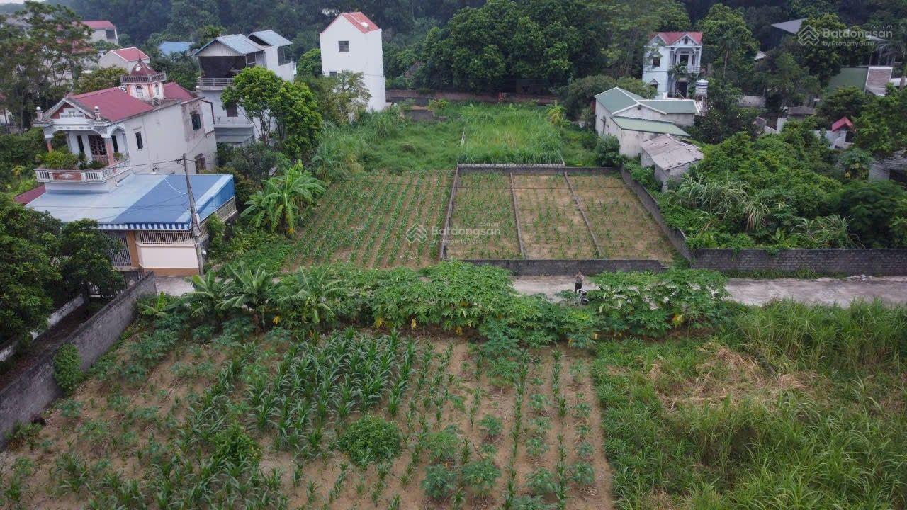 120m - mặt tiền 5m - Văn Mỹ - chỉ 2.x tỷ 120m - mặt tiền 5m - Văn Mỹ - chỉ 2.x tỷ