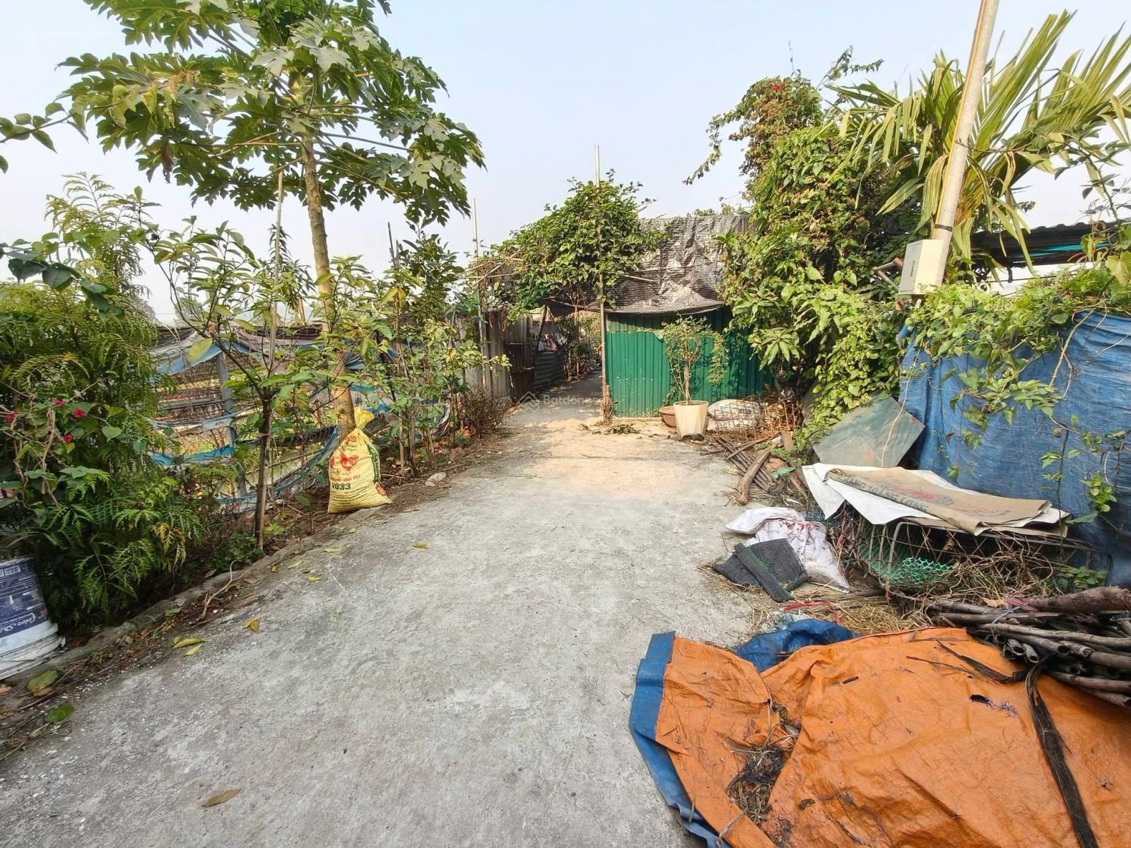 Đất ruộng Vân Nội 360m2, MT 10m, ĐSXNN, 1.3 tỷ, đường lớn, container, Đông Anh