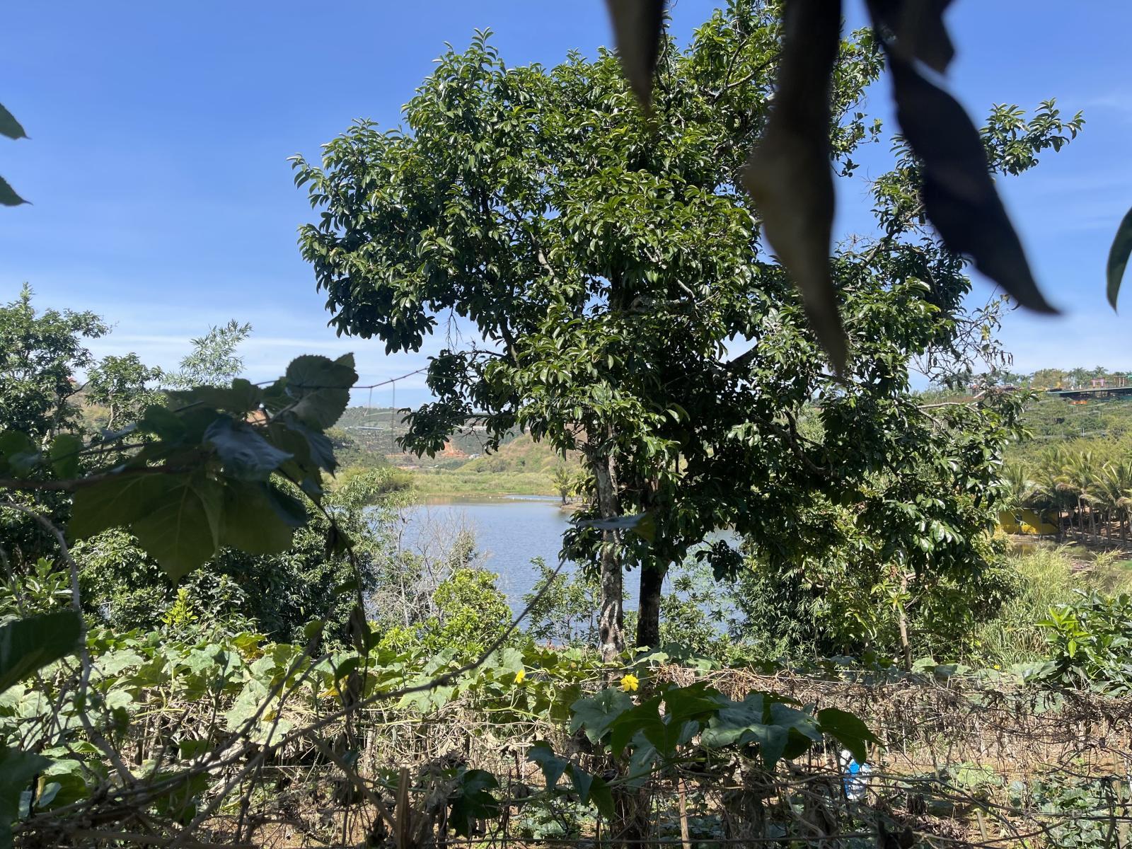 RẺ ĐẸP nhất Tà Nung 631m2 (313m2 đất ở) ngang 12,3m mặt tiền TL 725, bao quanh các KDL nổi tiếng