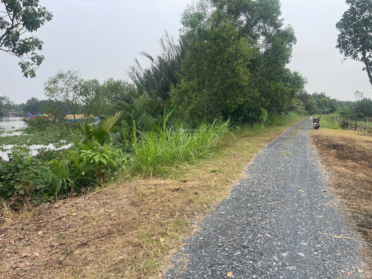 Bán 3 lô liền kề 5x40 đươfng OTO 8 m mặt tiền đê bao sông VÀM CỎ dân đông không khí trong lành