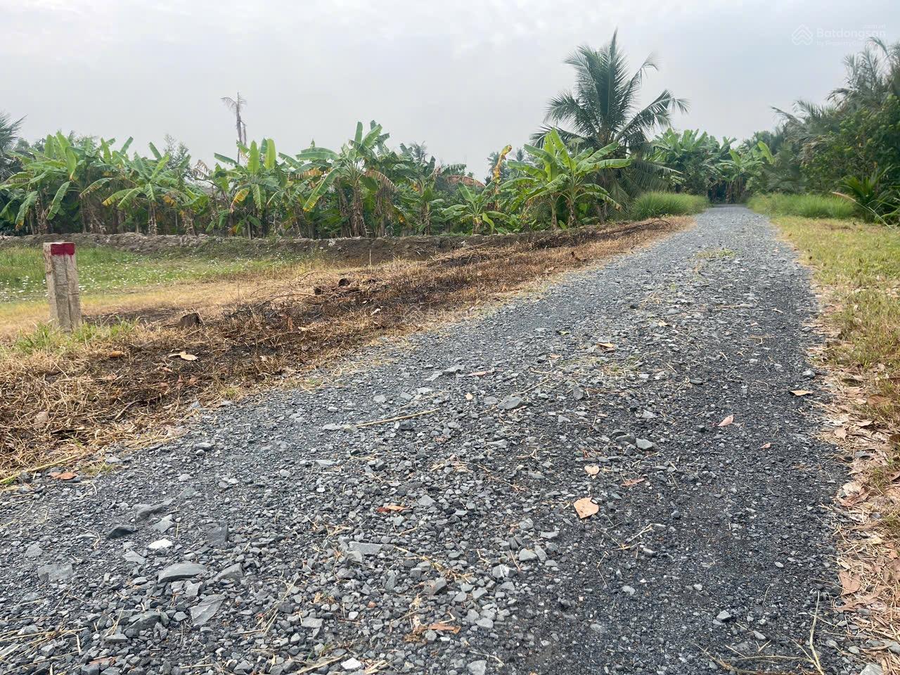 Bán 3 lô liền kề 5x40 đươfng OTO 8 m mặt tiền đê bao sông VÀM CỎ dân đông không khí trong lành