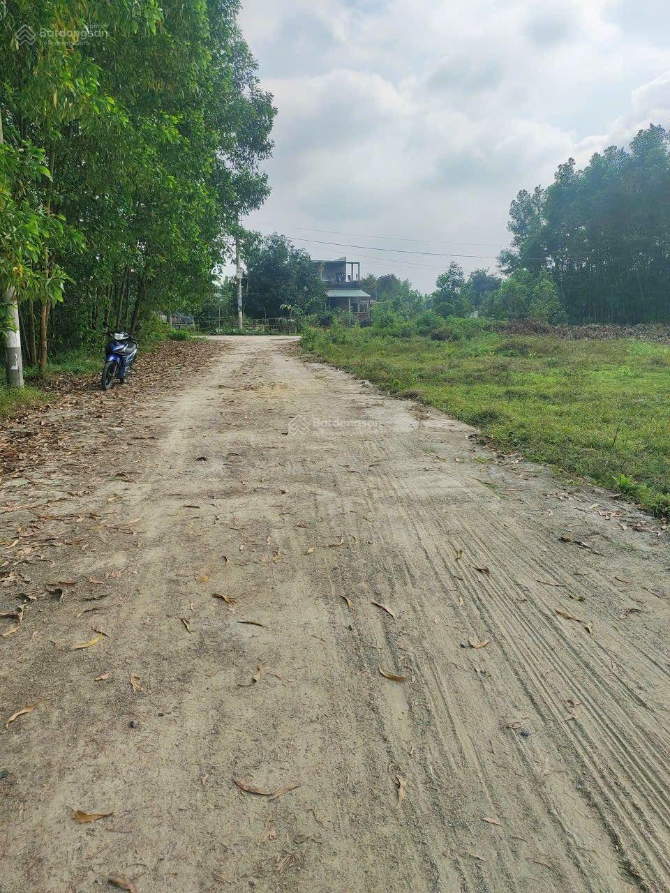 Đất gần nam kỳ khởi nghĩa 125m2 có 120m2 đất ở vuông vắn giá đầu tư 970 triệu.