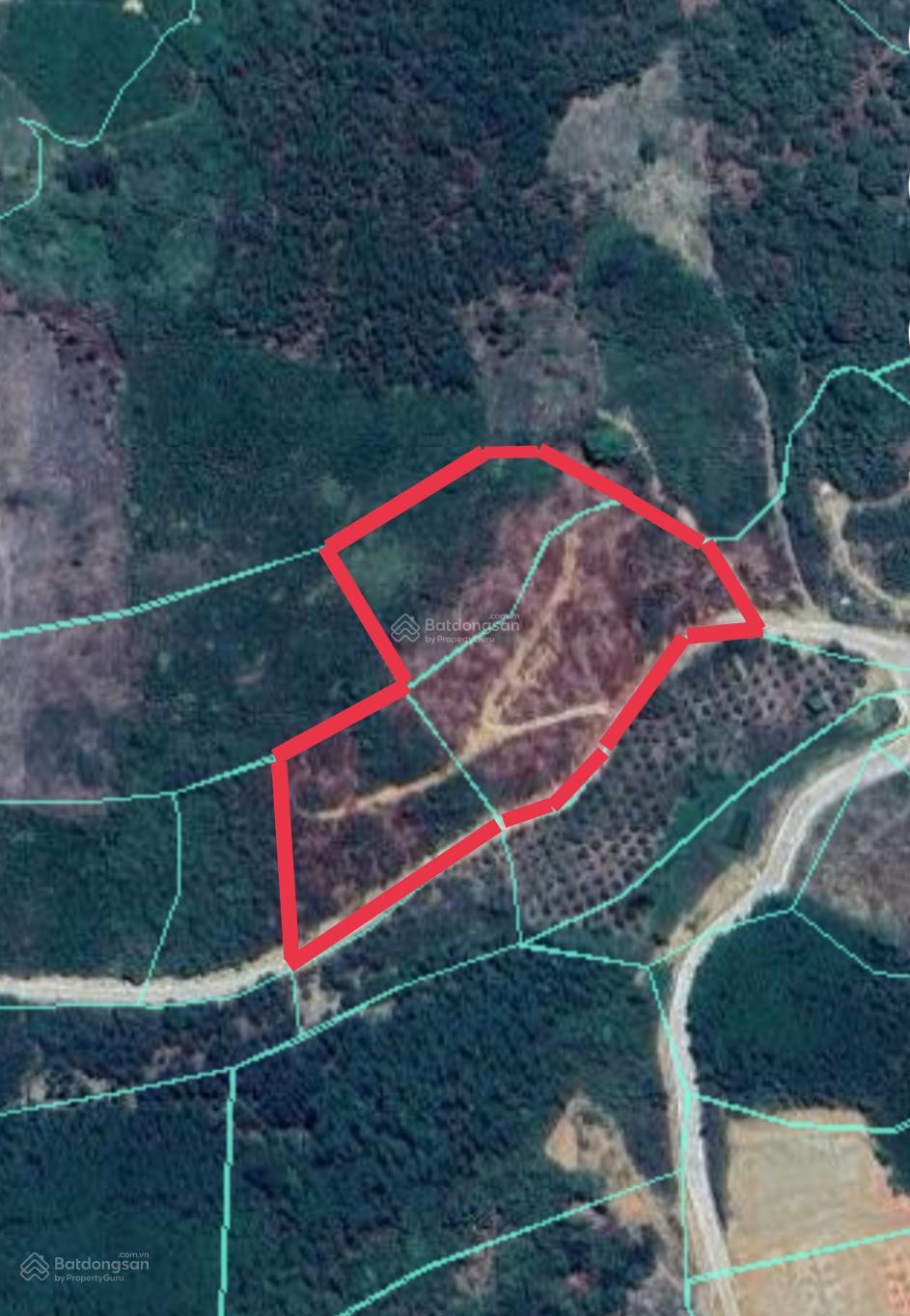 Mặt tiền bê tông ô tô Khánh Phú _ bám bê tông dài gần 250m Tặng 100 giống sầu riêng Giá : 2 tỷ