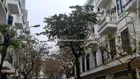 BÁN LIỀN KỀ NAM CƯỜNG 100M2 - MẶT TRUNG TÂM THƯƠNG MẠI - GIÁ 20,8 TỶ