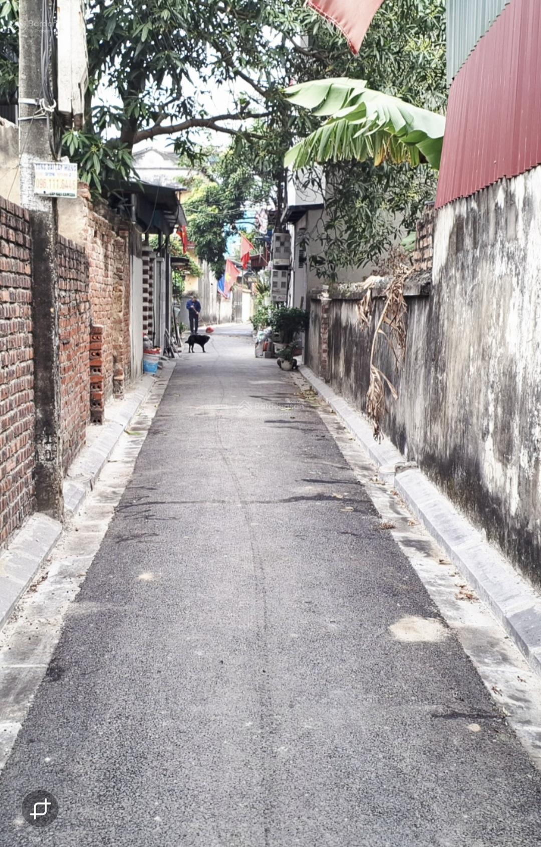 Bán Đất Thổ Cư 55.2m² Tại Thôn Mai Hiên, Xã Mai Lâm (Cũ), Đông Anh - Cơ Hội Đầu Tư Hấp dẫn