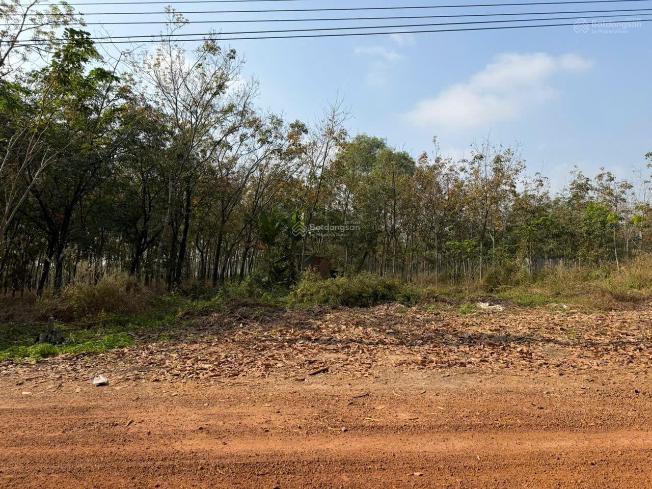 Bán đất đẹp tại Minh Thạnh, Dầu Tiếng, Bình Dương, giá siêu hời 24 tỷ, 16000 m2