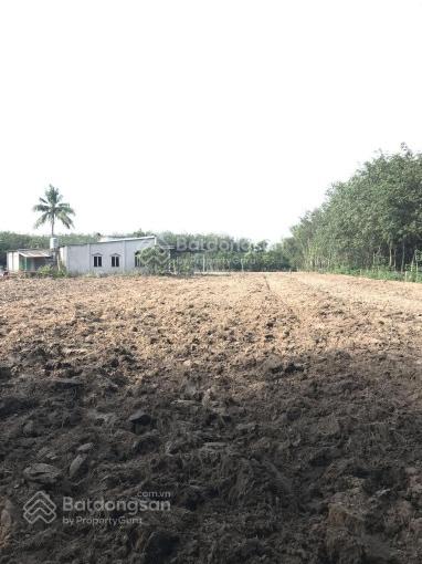 Bán đất tại Minh Thạnh, 15 tỷ, 10291 m2, hàng hiếm giá tốt