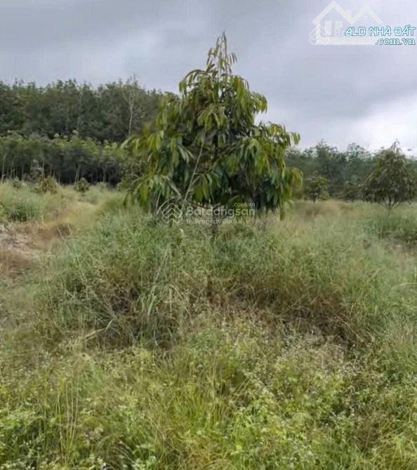 Bán đất tại Minh Thạnh, Dầu Tiếng, Bình Dương, 20,5 tỷ, 13607 m2 đẹp, nhiều tiện ích chỉ với