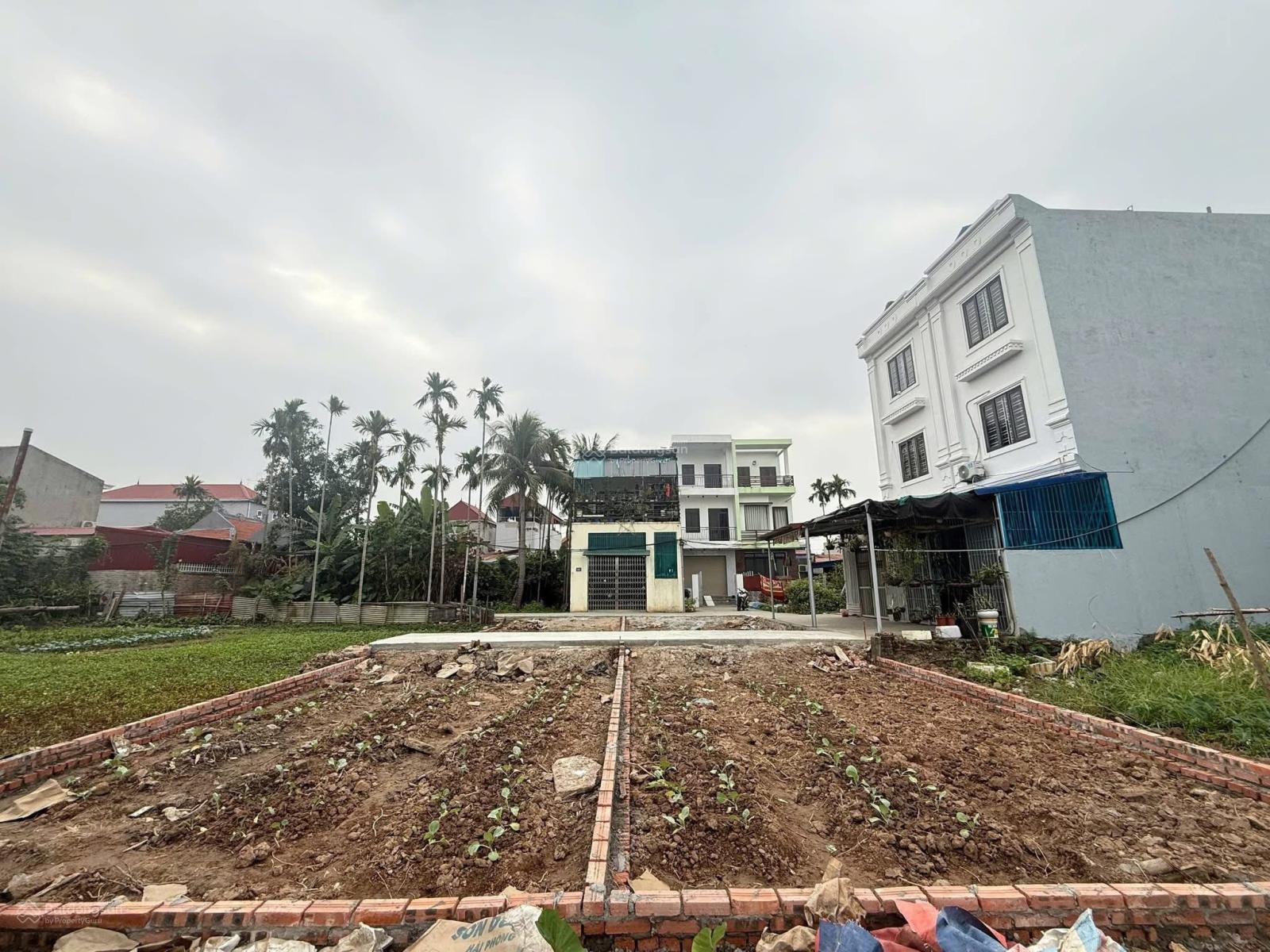 BÁN ĐẤT THỔ CƯ TRÀNG CÁT HẢI AN GIÁ TỐT