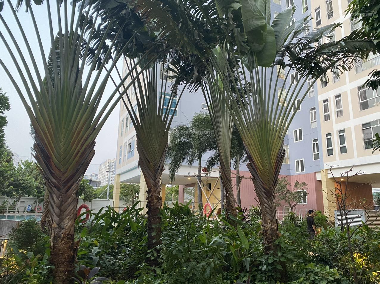 Cho thuê CC Valeo Đầm Sen, 15 triệu, 95m2, 2PN, 2WC, nội thất đầy đủ, giá tốt Cho thuê CC Valeo Đầm Sen, 15 triệu, 95m2, 2PN, 2WC, nội thất đầy đủ, giá tốt