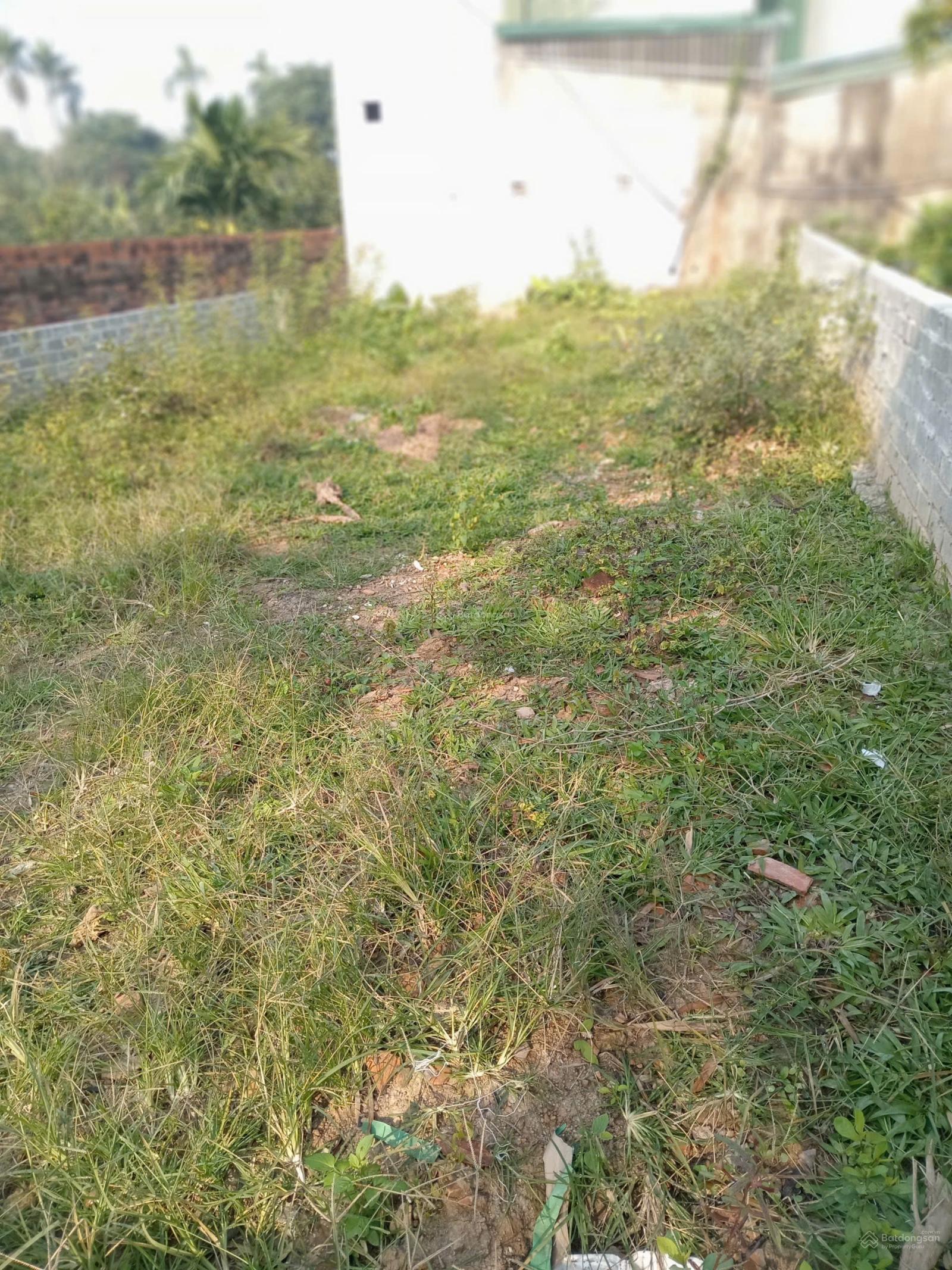 Bán đất Phú Kim _ Thạch Thất, 118m2 full thổ cư, chỉ 2 tỷ