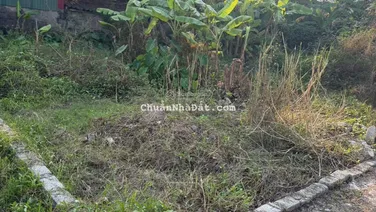 CHÍNH CHỦ bán đất Tân Ước, Dân Hoà, Thanh Oai - Sát ngay Vinhomes Olympic - Tiềm năng tăng giá cao