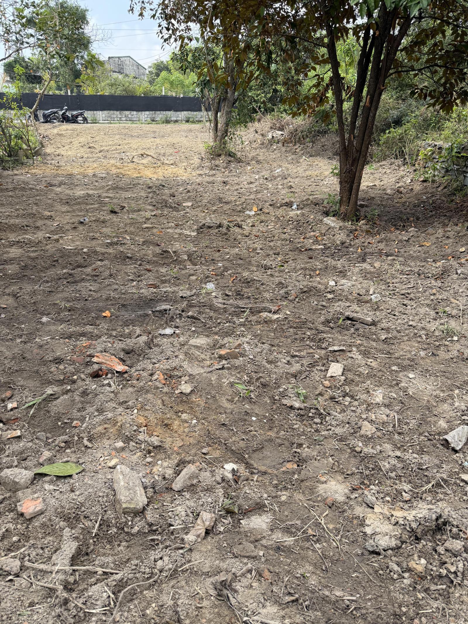 Cần bán đất đường nhựa 7.5m Phú Thượng - Hoà Khánh - Đà Nẵng giá 1.2 tỷ / 100m2