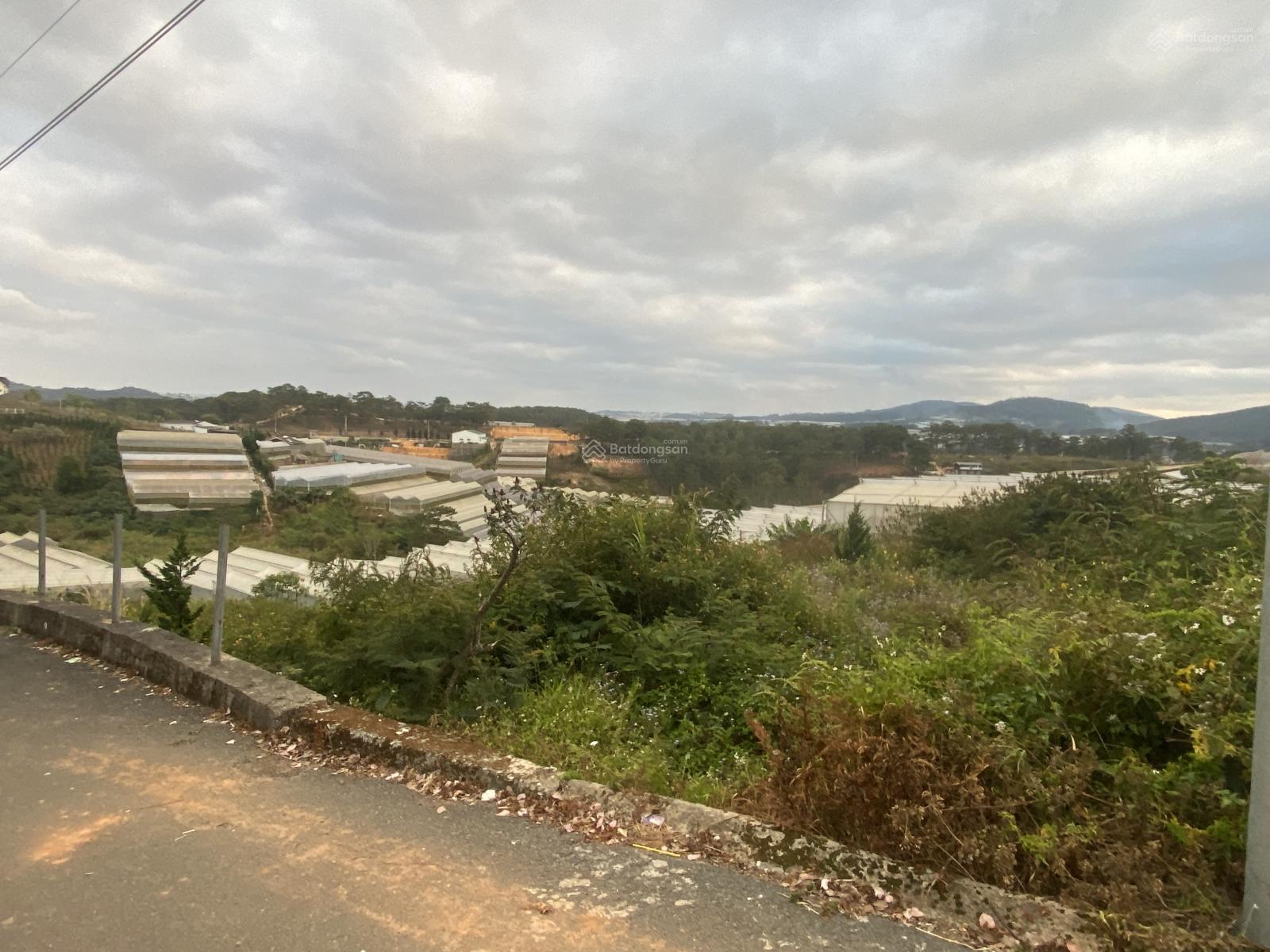 Cần bán 200m2 full tc 4ty2 siêu rẻ viêw thông và TP k bi che! Gần mây lang thang !