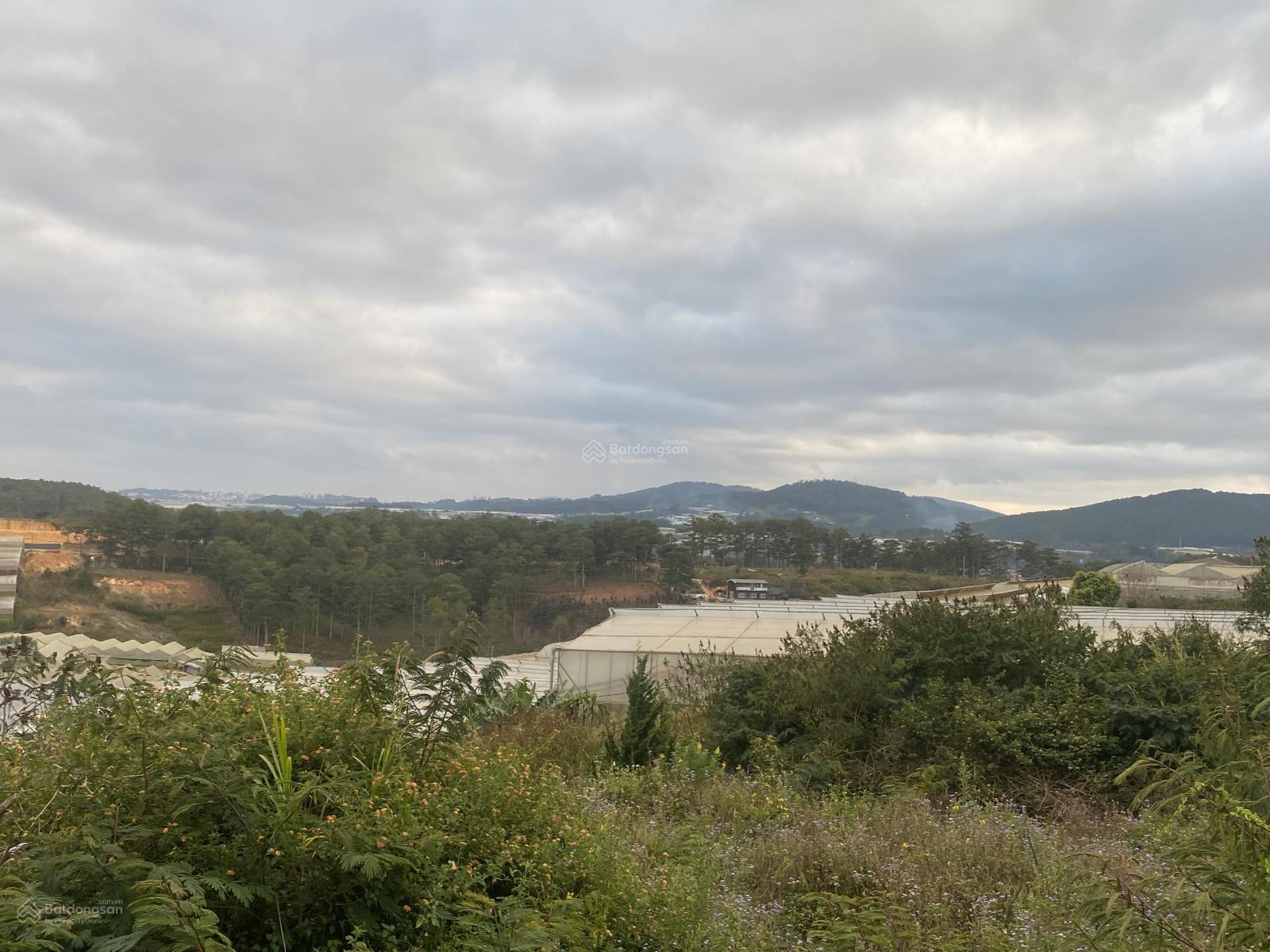 Cần bán 200m2 full tc 4ty2 siêu rẻ viêw thông và TP k bi che! Gần mây lang thang !