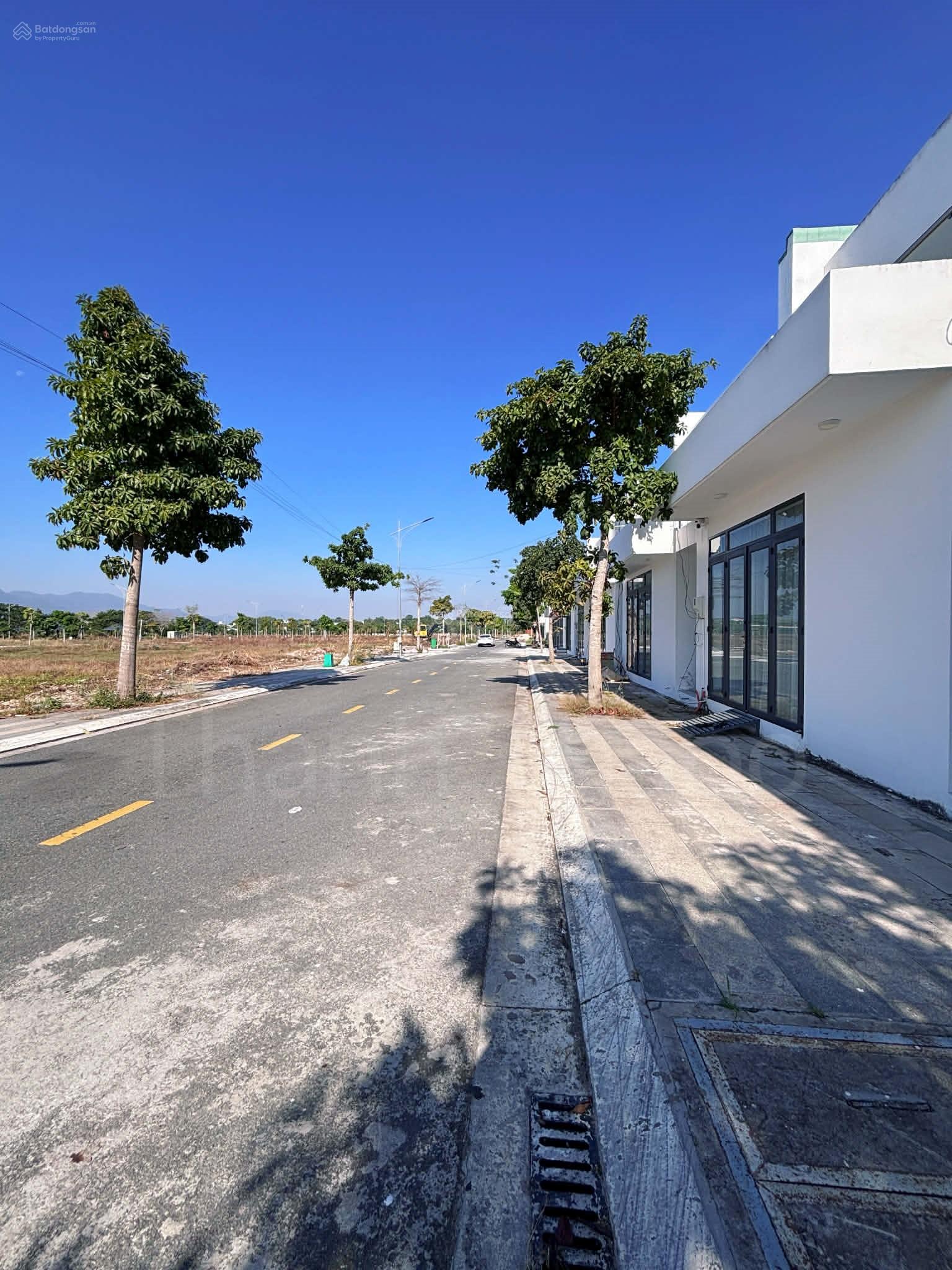 ĐẤT MẶT TIỀN ĐƯỜNG NHỰA TRỤC CHÍNH - DÂN CƯ HIỆN HỮU