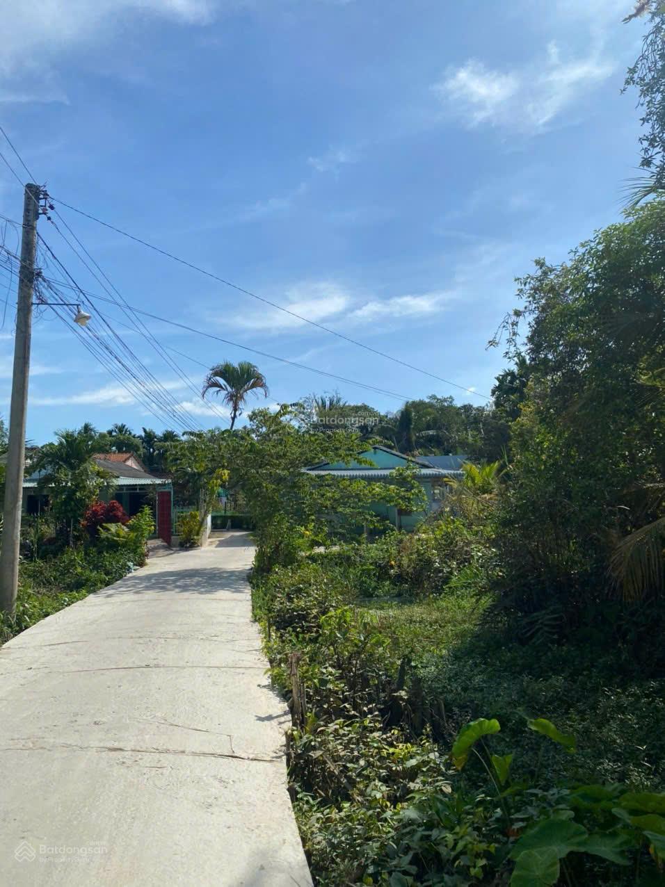 Đất thổ Nguyển Văn Nhâm Phường 5