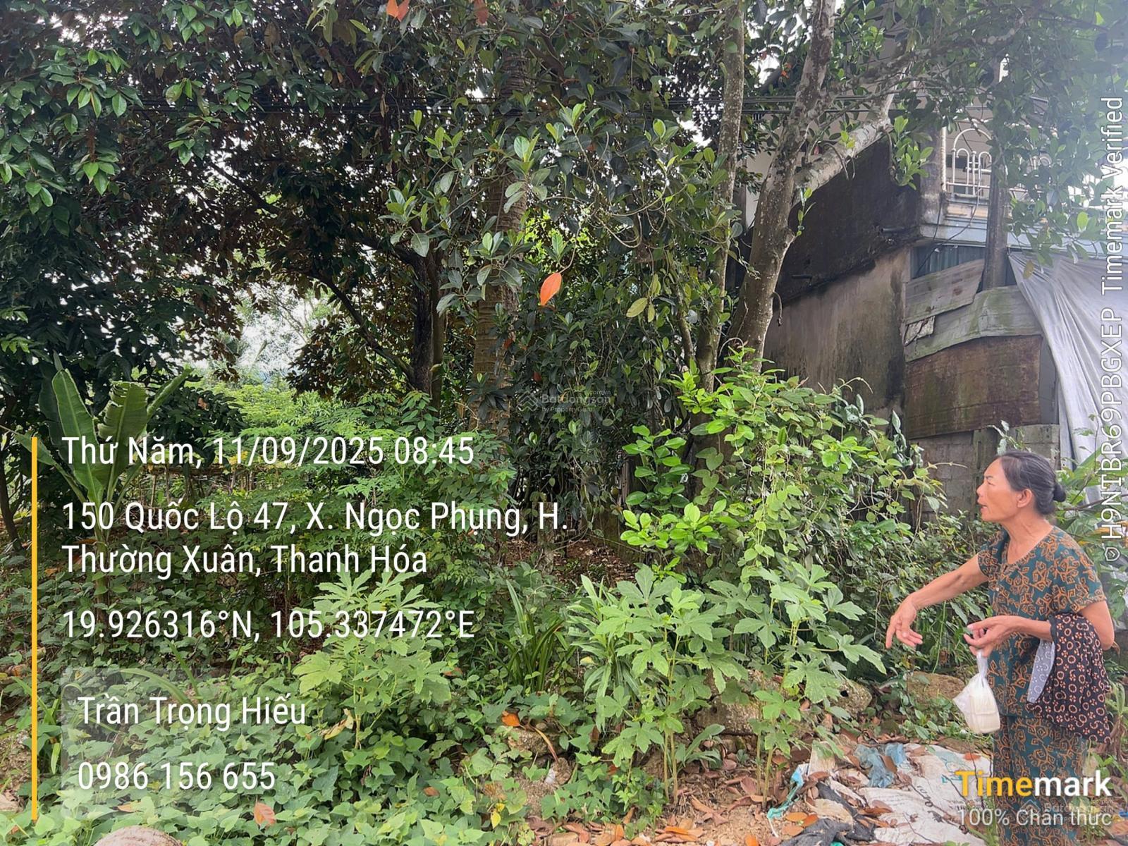 Ngân hàng phát mãi, bán đấu giá 318.8m2 đất ở tại QL 47 xã Ngọc Phụng - Thường Xuân