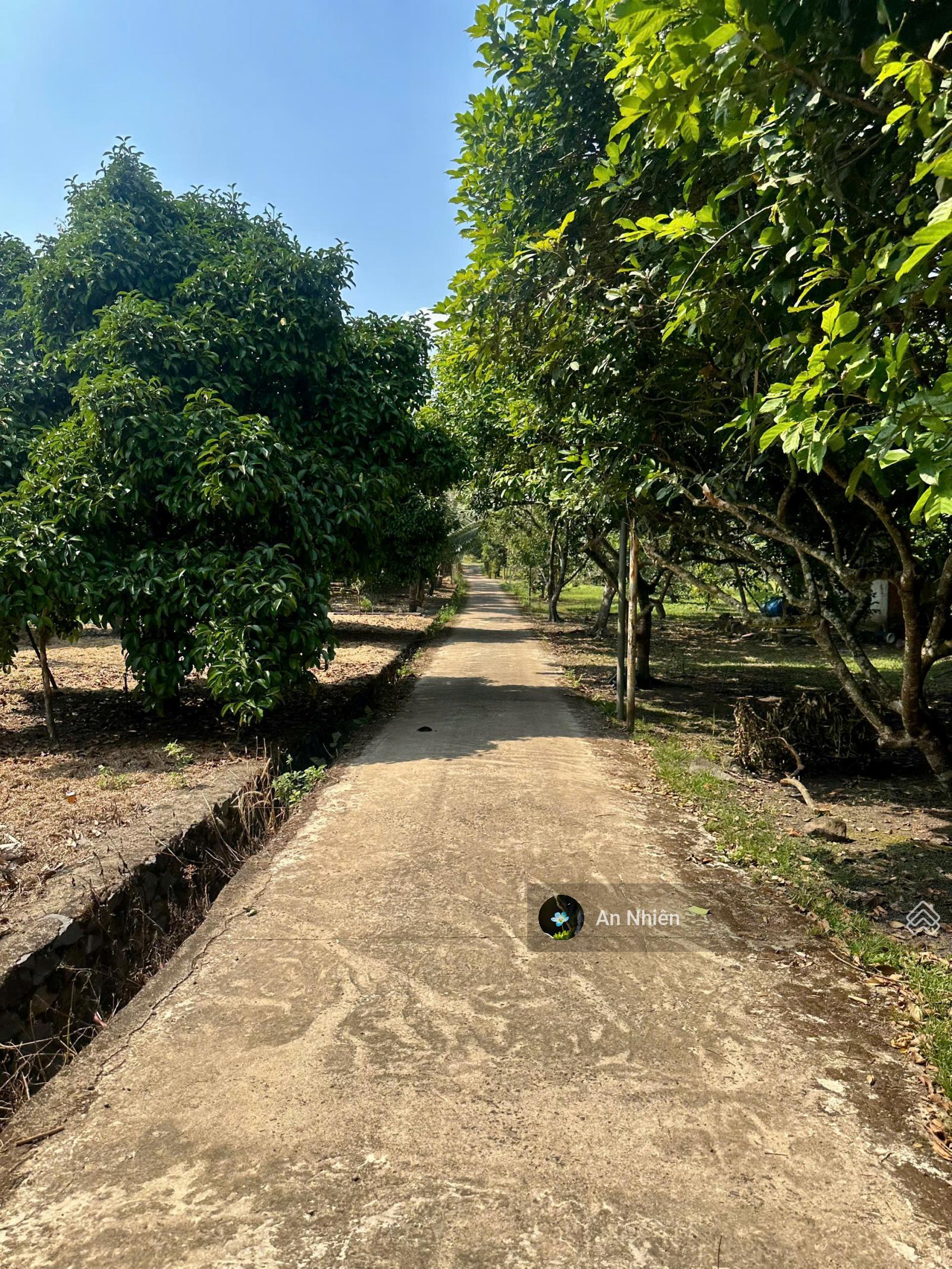 Hàng cuối nền thổ cư gần Long Thành giá rẻ hiếm 385tr nhận nền vay ngân hàng 50%