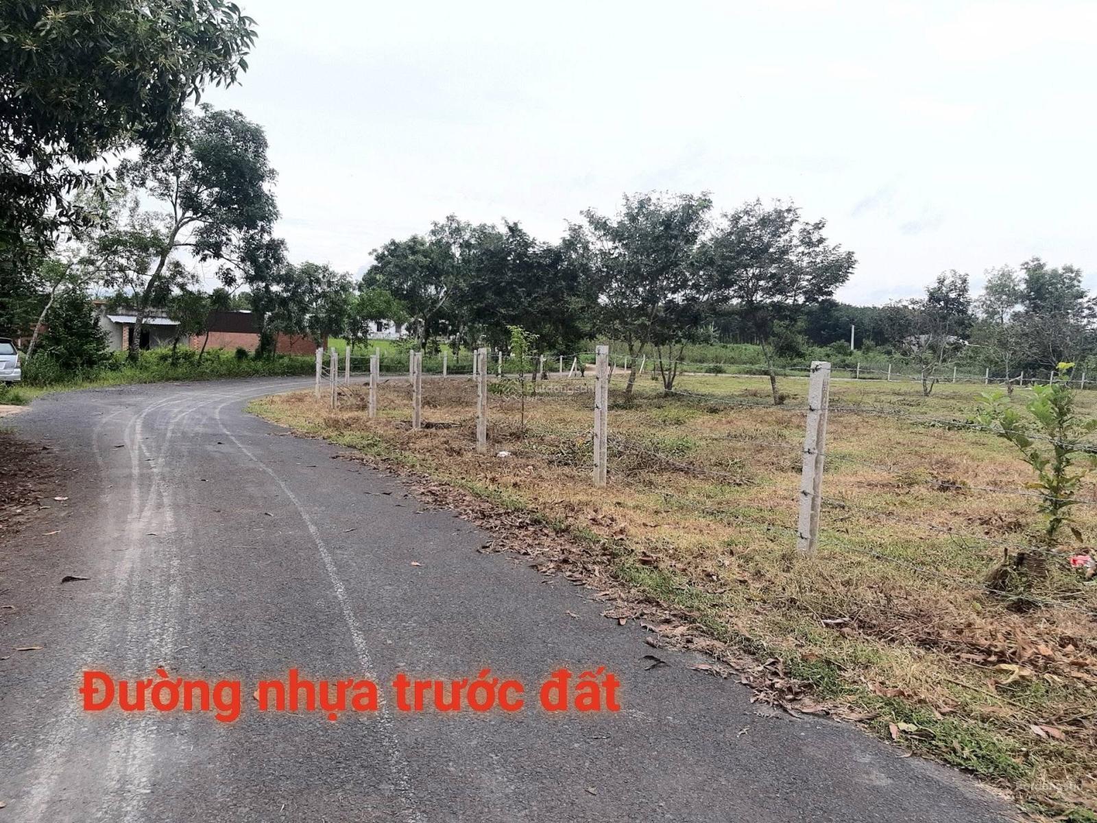 Bán đất xã hồ tràm dt:555m2 có 100m2 thổ cư ngang 17mx35m,lô góc 2 mặt tiền đường nhựa gần bà tô