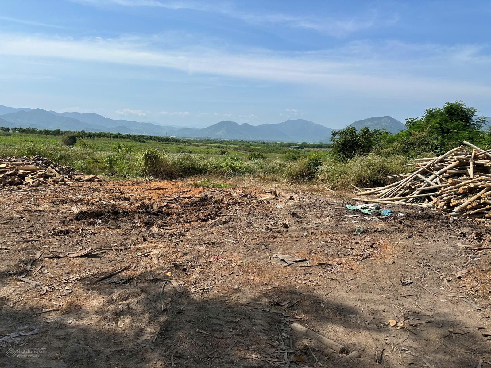 Bán đất Xã Ninh Tây có DT 10.000 m2 tại Thôn Buôn Lác